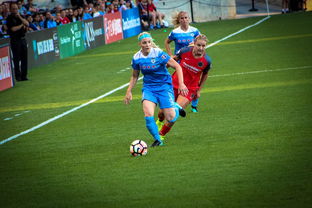 米兰体育平台登录入口-中国篮球职业联赛俱乐部财务风险管理，篮球俱乐部财务制度