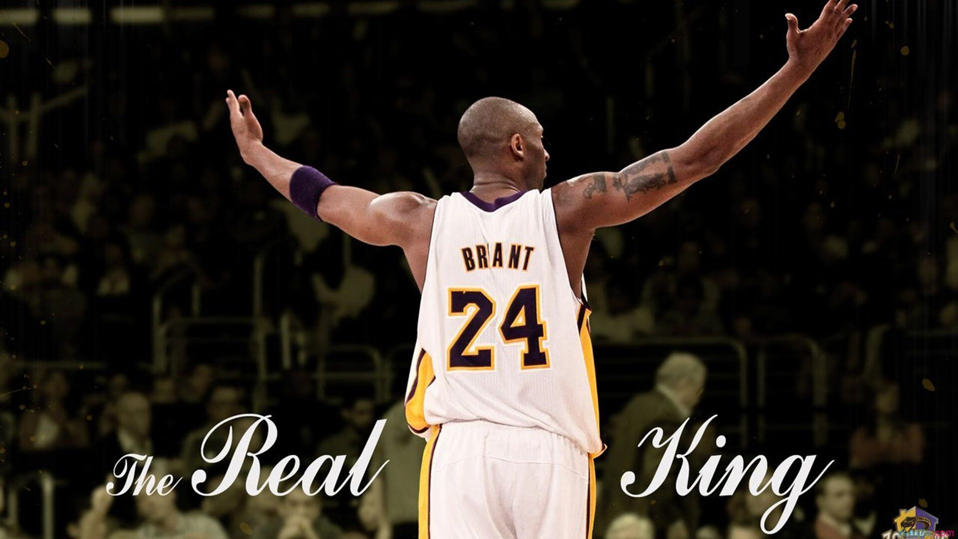 体育品牌全球合作